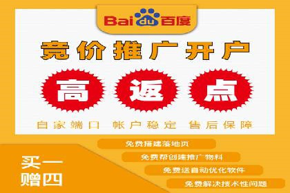 竞价广告的投放时机与频次选择——基于案例的探讨